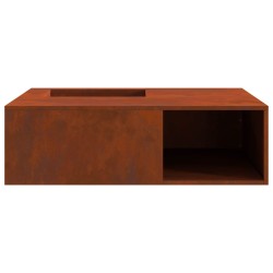 Foyer de cheminée Marron 100 x 100 x 30 cm Acier patiné 531543531543