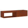 Braise Marron 160 x 45 x 35 cm Acier 531545531545
