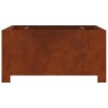 Foyer de cheminée Marron 60 x 60 x 30 cm Acier patiné 531550531550