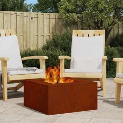 Foyer de cheminée Marron 60 x 60 x 30 cm Acier patiné 531569531569