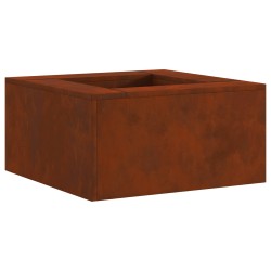 Foyer de cheminée Marron 60 x 60 x 30 cm Acier patiné 531569531569