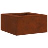 Foyer de cheminée Marron 60 x 60 x 30 cm Acier patiné 531569531569