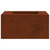 Foyer de cheminée Marron 60 x 60 x 30 cm Acier patiné 531569531569
