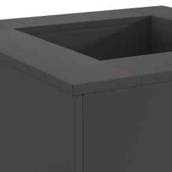 Foyer de cheminée Noir 60 x 60 x 30 cm Acier 531573531573