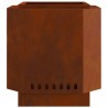 Foyer sans fumée Marron 48 x 48 x 51 cm Acier patiné 531625531625