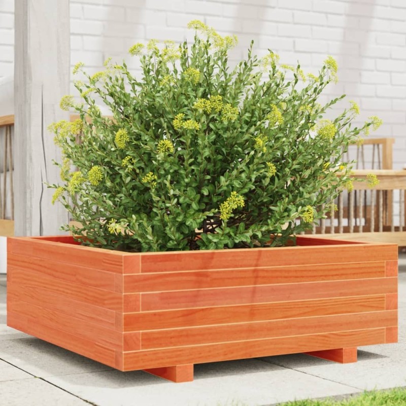 Jardinière cire marron 70x70x26,5 cm bois de pin massif 531696531696