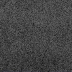 Tapis d'entrée Anthracite et noir 120 x 250 cm Polyamide et PVC 531734531734