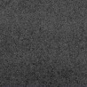 Tapis d'entrée Anthracite et noir 120 x 250 cm Polyamide et PVC 531734531734