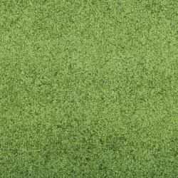 Tapis d'entrée Vert et Noir 120 x 400 cm 100% Polyamide 531740531740