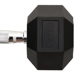 Haltère 22,5 kg Fonte 531771531771