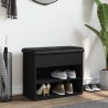 Banc à chaussures noir 62x32x50 cm bois d'ingénierie 531911531911