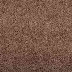 Tapis d'entrée Marron et Noir 120 x 350 cm 100% Polyamide 531964531964