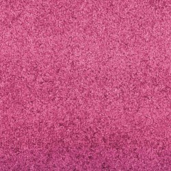 Tapis d'entrée Rose et Noir 120 x 250 cm 100% Polyamide 531968531968