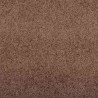 Tapis d'entrée Marron et Noir 120 x 250 cm 100% Polyamide 531981531981