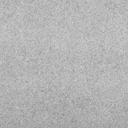Tapis d'entrée Gris et Noir 60 x 180 cm 100% Polyamide 531987531987