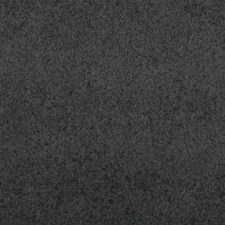 Tapis d'entrée Anthracite et noir 120 x 350 cm 100% Polyamide 532011532011