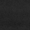 Tapis d'entrée Noir 120 x 250 cm 100% Polyamide 532013532013