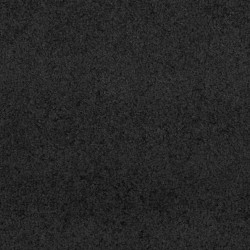 Tapis d'entrée Noir 120 x 180 cm 100% Polyamide 532016532016