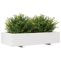 Jardinière blanc 110x60x26,5 cm bois de pin massif 532034532034