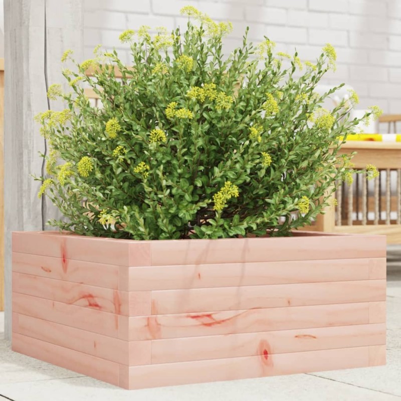 Jardinière 50x50x23 cm bois massif douglas 532106532106