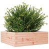 Jardinière 70x70x23 cm bois massif douglas 532110532110