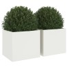 Jardinières 2 pcs blanc 32x30x29 cm acier 532246532246