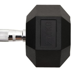 Haltère 27,5 kg Fonte 532312532312