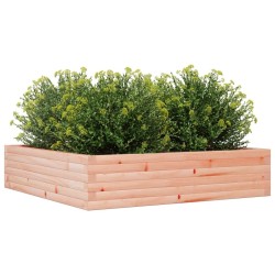 Jardinière 100x100x23 cm bois massif de douglas 532351532351