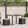 Tabourets jardin coussins 2 pcs noir 40x40x43 cm résine tressée 532706532706
