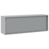 Armoire à outils avec stockage Noir et gris 100 x 25 x 35 cm 532994532994