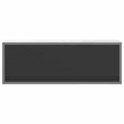 Armoire à outils avec stockage Noir et gris 100 x 25 x 35 cm 532994532994