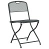 Chaises de jardin 2 pcs Anthracite 52,5 x 46 x 82 cm Fer 533006533006