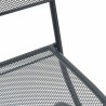 Chaises de jardin 2 pcs Anthracite 52,5 x 46 x 82 cm Fer 533006533006