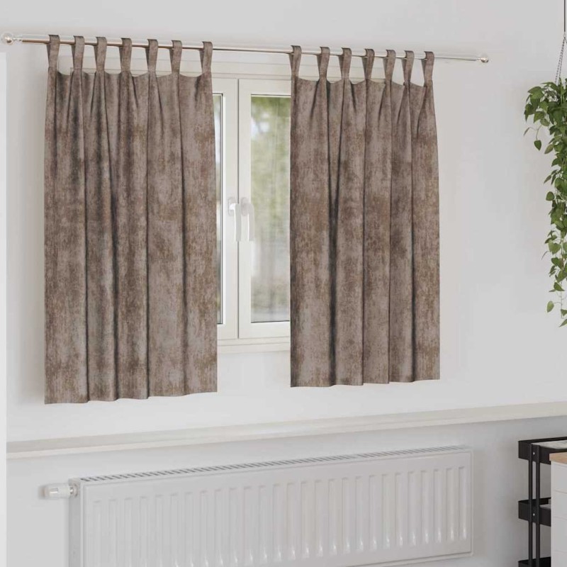 Rideaux en velours 2 pcs Cappuccino 140 x 140 cm Velours 534405534405