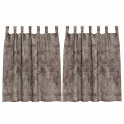Rideaux en velours 2 pcs Cappuccino 140 x 140 cm Velours 534405534405
