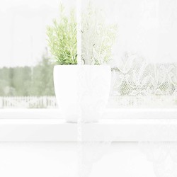 Rideau en Dentelle avec des rideaux Blanc 260x200cm Polyester 534435534435