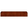 Jardinière rouillé 280x80x40 cm acier inoxydable 534886534886