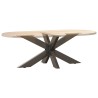 Pied de table basse en forme d'araignée noir 98 x 58 x (42-43) cm en acier 535153535153
