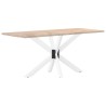 Pied de table à manger en forme d'araignée, blanc, 120 x 68 x (72-73) cm, acier 535154535154