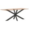 Pied de table à manger en forme d'araignée, anthracite, 150 x 78 x (72-73) cm, acier 535186535186