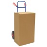 Chariot à main extensible Bleu et Rouge 49,5 x 53 x 114 cm 535447535447