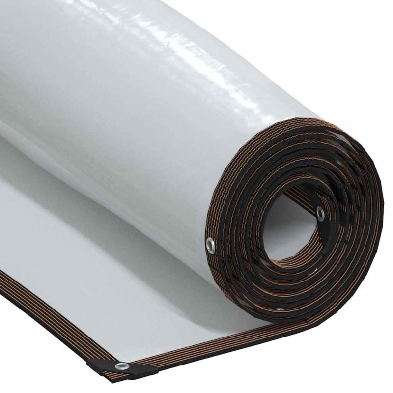 Bâche transparente avec œillets 6x12 m polyéthylène 535527535527