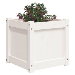 Jardinière blanc 40x40x40 cm bois de pin massif 535606535606