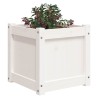 Jardinière blanc 40x40x40 cm bois de pin massif 535606535606