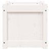 Jardinière blanc 40x40x40 cm bois de pin massif 535606535606