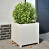 Jardinière blanc 50x50x50 cm acier 535619535619