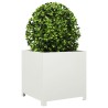 Jardinière blanc 50x50x50 cm acier 535619535619