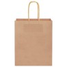 Sacs en papier 50 pcs avec poignées marron 18x8x22 cm 535910535910