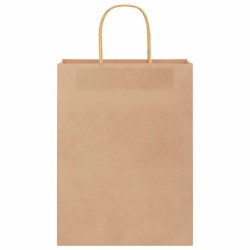 Sacs en papier 250 pcs avec poignées marron 26x12x35 cm 535926535926