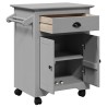 Chariot de cuisine BODO gris 72x45x80 cm 536016536016